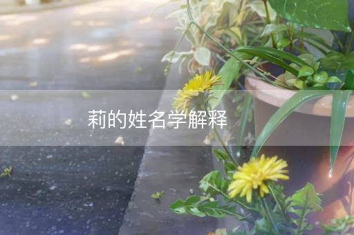 莉的姓名学解释