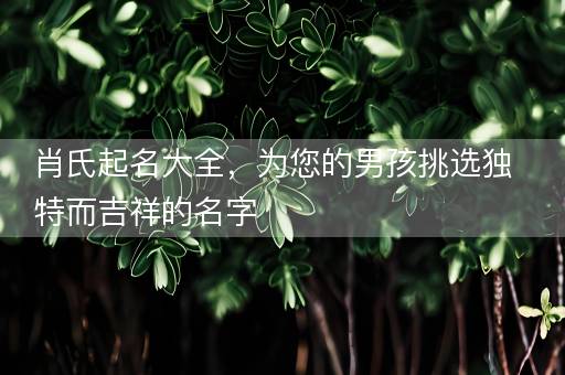 肖氏起名大全,为您的男孩挑选独特而吉祥的名字 肖氏起名大全,为您的男孩挑选独特而吉祥的名字