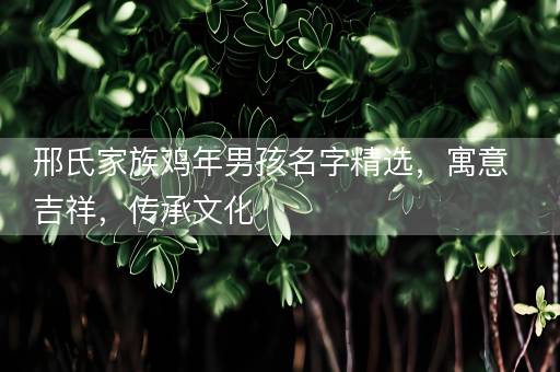 邢氏家族鸡年男孩名字精选，寓意吉祥，传承文化