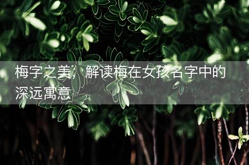 梅字之美，解读梅在女孩名字中的深远寓意