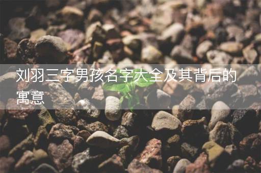 刘羽三字男孩名字大全及其背后的寓意 刘羽三字男孩名字大全及其背后的寓意