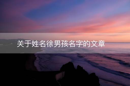 关于姓名徐男孩名字的文章 关于姓名徐男孩名字的文章