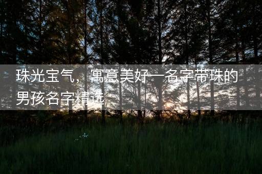 珠光宝气，寓意美好—名字带珠的男孩名字精选