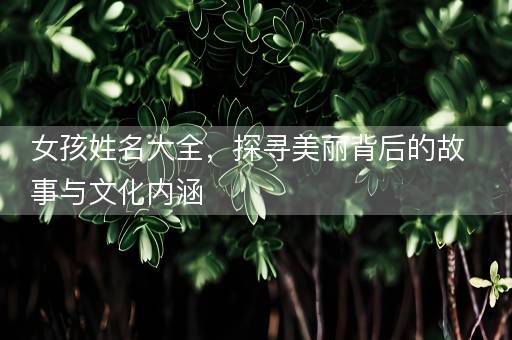女孩姓名大全，探寻美丽背后的故事与文化内涵