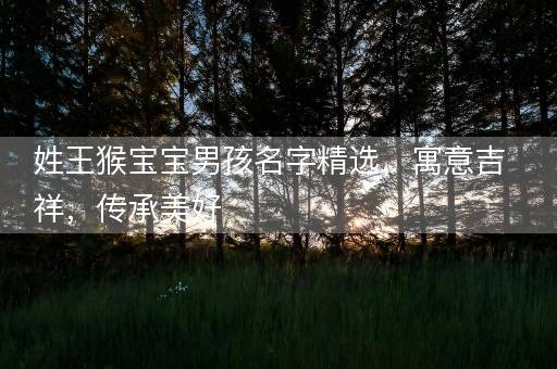 姓王猴宝宝男孩名字精选，寓意吉祥，传承美好