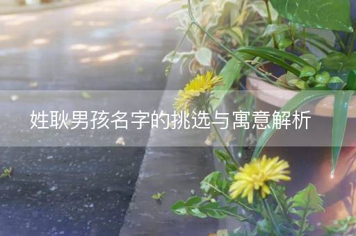 姓耿男孩名字的挑选与寓意解析