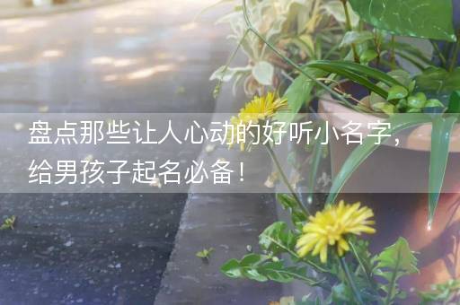 盘点那些让人心动的好听小名字，给男孩子起名必备！