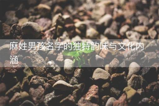 麻姓男孩名字的独特韵味与文化内涵