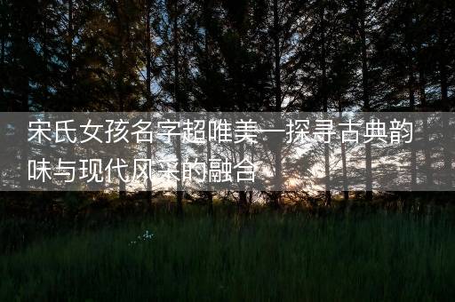 宋氏女孩名字超唯美—探寻古典韵味与现代风采的融合