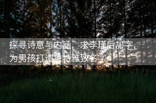 探寻诗意与内涵，求李瑾后加字，为男孩打造独特雅致名字