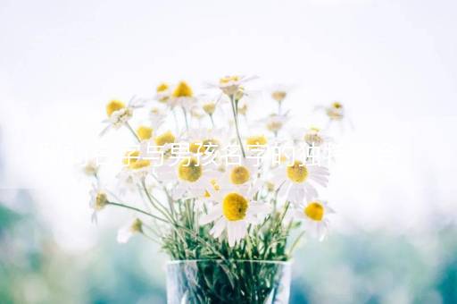 路的名字与男孩名字的独特融合