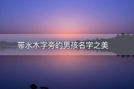带水木字旁的男孩名字之美