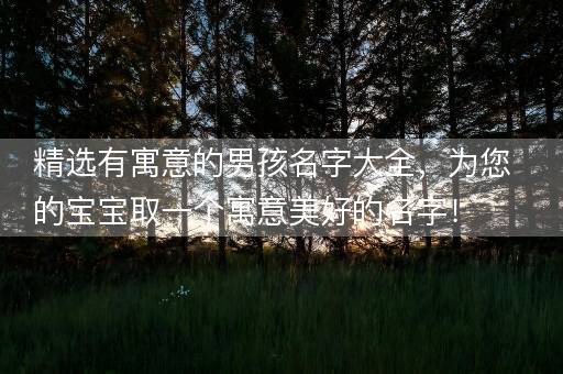 精选有寓意的男孩名字大全，为您的宝宝取一个寓意美好的名字！