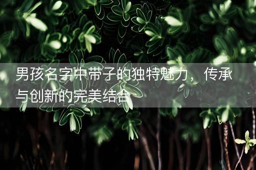 男孩名字中带子的独特魅力，传承与创新的完美结合