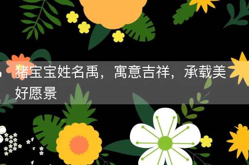 猪宝宝姓名禹，寓意吉祥，承载美好愿景