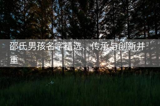 邵氏男孩名字精选，传承与创新并重
