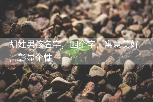 胡姓男孩名字,四个字,寓意美好,彰显个性 胡姓男孩名字,四个字,寓意美好,彰显个性