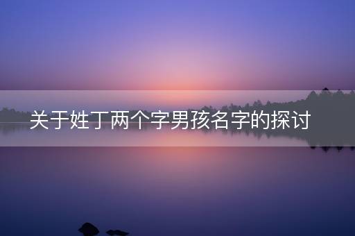 关于姓丁两个字男孩名字的探讨