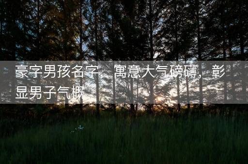豪字男孩名字，寓意大气磅礴，彰显男子气概