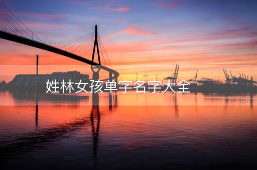 姓林女孩单字名字大全