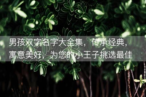 男孩双字名字大全集，传承经典，寓意美好，为您的小王子挑选最佳名字！