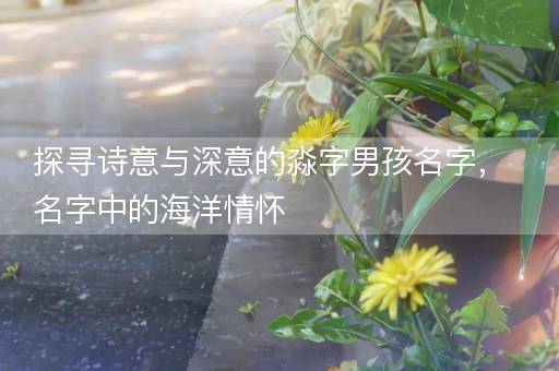 探寻诗意与深意的淼字男孩名字,名字中的海洋情怀 探寻诗意与深意的淼字男孩名字,名字中的海洋情怀