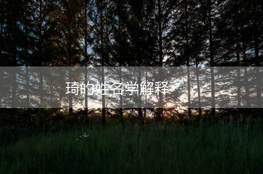 琦的姓名学解释 琦的姓名学解释