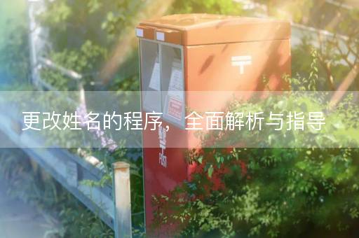 更改姓名的程序，全面解析与指导