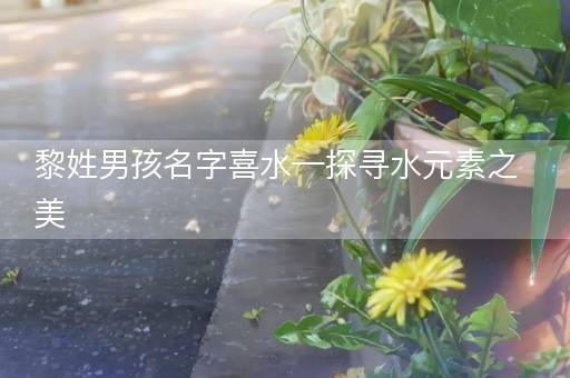 黎姓男孩名字喜水—探寻水元素之美 黎姓男孩名字喜水—探寻水元素之美