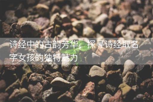 诗经中的古韵芳华，探寻诗经取名字女孩的独特魅力