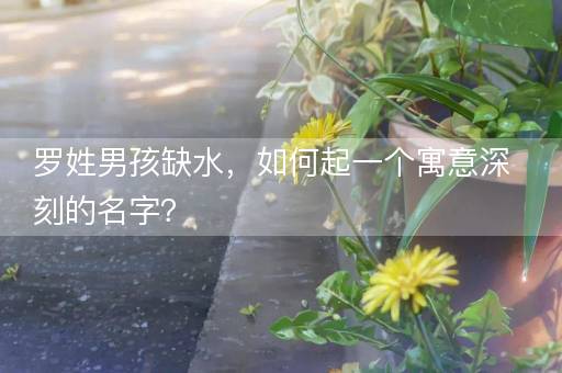 罗姓男孩缺水，如何起一个寓意深刻的名字？