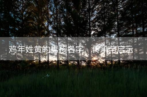鸡年姓黄的男孩名字，传承与启示