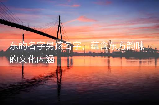 东的名字男孩名字，蕴含东方韵味的文化内涵