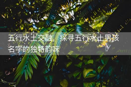 五行水土交融，探寻五行水土男孩名字的独特韵味