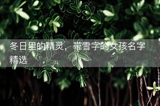 冬日里的精灵，带雪字的女孩名字精选