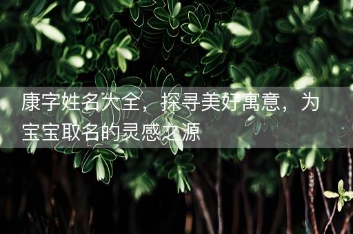 康字姓名大全，探寻美好寓意，为宝宝取名的灵感之源