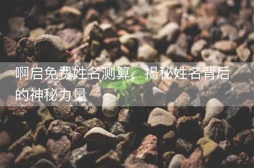 啊启免费姓名测算，揭秘姓名背后的神秘力量