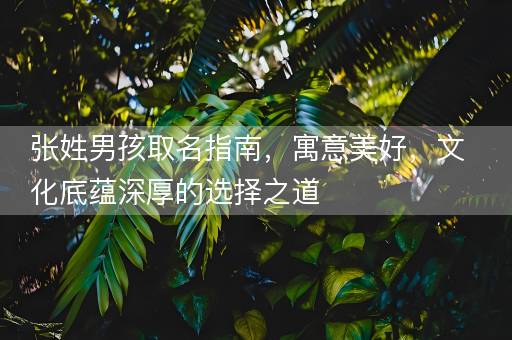 张姓男孩取名指南，寓意美好，文化底蕴深厚的选择之道