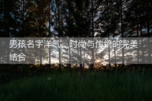 男孩名字洋气，时尚与传统的完美结合