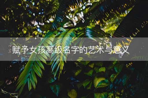 赋予女孩高级名字的艺术与意义