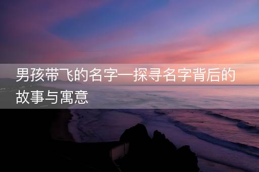男孩带飞的名字—探寻名字背后的故事与寓意