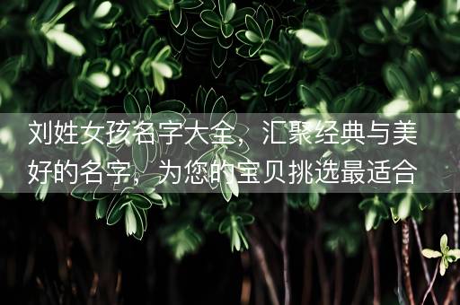 刘姓女孩名字大全，汇聚经典与美好的名字，为您的宝贝挑选最适合的祝福