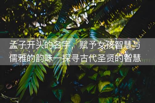 孟子开头的名字，赋予女孩智慧与儒雅的韵味—探寻古代圣贤的智慧传承