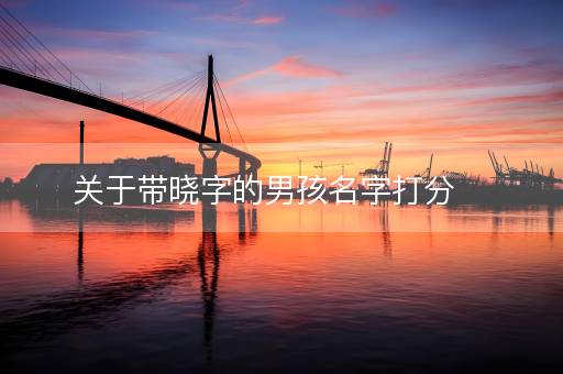 关于带晓字的男孩名字打分