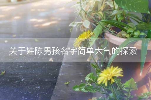 关于姓陈男孩名字简单大气的探索