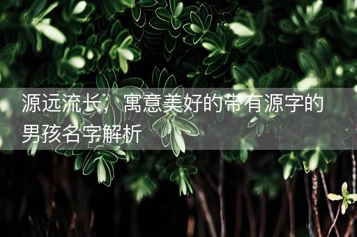 源远流长，寓意美好的带有源字的男孩名字解析