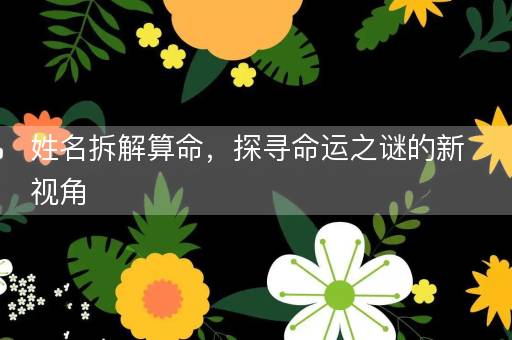 姓名拆解算命，探寻命运之谜的新视角