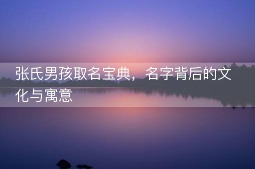 张氏男孩取名宝典，名字背后的文化与寓意
