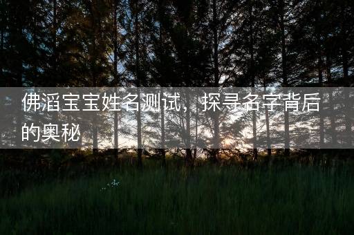 佛滔宝宝姓名测试，探寻名字背后的奥秘