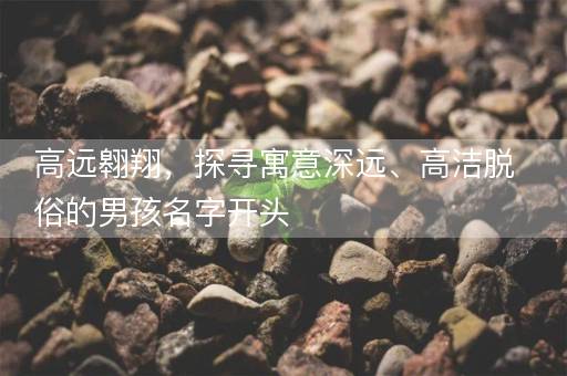 高远翱翔，探寻寓意深远、高洁脱俗的男孩名字开头